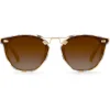 Beau Nylon | Gingham 12K|KREWE Outlet